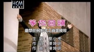 蔡小虎-等你回頭(官方KTV版)