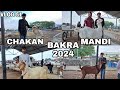 PUNE BIGGEST BAKRA MANDI CHAKAN VLOG 2 || VLOG 51 || MD.ANAs.VLOGs