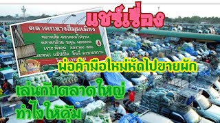 แชร์เรื่องเล่า ประสบการณ์การขายผักมือใหม่เกษตรกรหัดไปขายผักที่ตลาดกลาง ทำยังไงให้คุ้ม