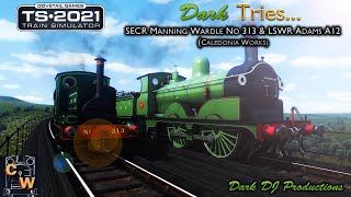 TS2021 | Dark Tries ... | CW SECR MW 313 \u0026 LSWR Adams A12