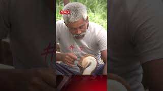 যে রাজহাঁস মানুষের মনের কথা বোঝে #boguraduck #shorts