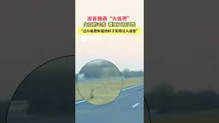 “这小狐狸娇羞的样子美得让人窒息”，游客偶遇“火狐狸”#野生动物