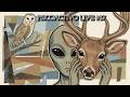 UAP Gerb & Rob Jones join Doomer Friday to discuss Grusch & the UFO Files - Psicoactivo Live #37