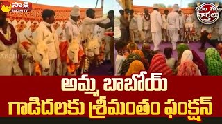 Seemantham For Donkeys: గాడిదలకు శ్రీమంతం ఫంక్షన్ @SakshiTV