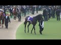 競馬 g1 2010年 第30回 ジャパンカップ パドック入場 現地撮影