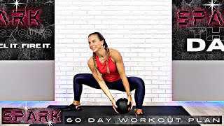 Total Body Medicine Ball ABS and ARMS Workout | SPARK Challenge Day 44