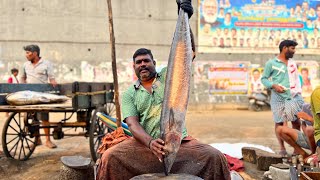 BIGGEST ARAKOLA (WAHOO) FISH CUTTING BY MINNAL RAJA | HD VIDEO | IN KASIMEDU | CUTTING FOCUS 🔪