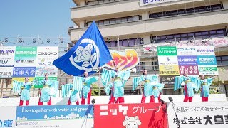 [4K] よさこい播州櫻組　2日目　加古川 踊っこまつり 2019