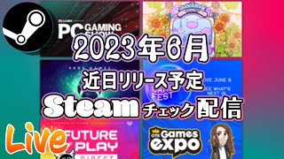 2023年6月 Summer Game Fest＋Steam近日登場チェック定期配信【基本的にインディーゲーム】