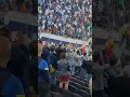 Tottenham vs Marseille fight