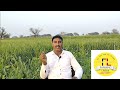 बिना रासायनिक खाद खेती कैसे शुरु करें। chemical less farming.