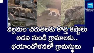 BIG Story On Nallamala Forest Cheetahs | నల్లమల చిరుతలకు కొత్త కష్టాలు | @SakshiTV