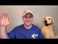 how to train a dog to an underground dog fence important rules to follow don’t make this mistake