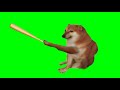 Cheems Bonk Green Screen 4k/Ultra Hd || Bonking Cheems Green Screen