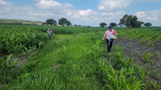 LA MEJOR TEMPORADA PARA CAMINAR POR LA SIEMBRA 🌾🌱