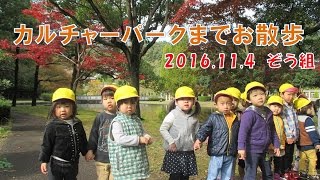 八幡保育園(福井市）カルチャーパークまでぞう組（2歳児）がお散歩！どんぐりや落ち葉を拾って秋の自然に触れてみました。