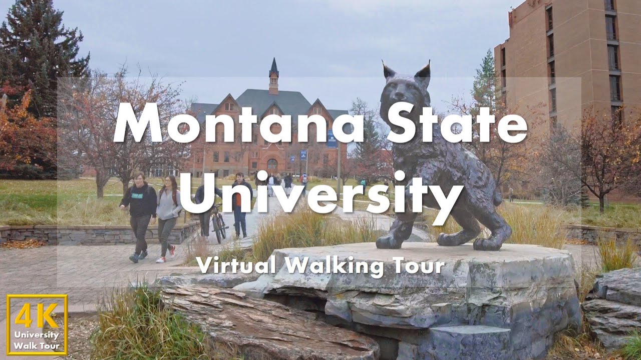 Montana State University - Virtual Walking Tour [4k 60fps] - YouTube