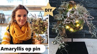 AMARYLLIS op pin 🌺| Cursus bloemschikken #44 | Carlein Tukkers