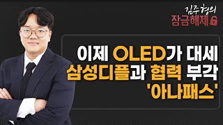 [김주형의 잠금해제] 이제 OLED가 대세 삼성디플과 협력 부각 '아나패스' / 머니투데이방송 (증시, 증권)