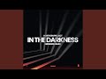 In the Darkness (DIM3NSION Extended Mix)