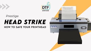 Head Strike | How to Save Printhead | Prestige A3+