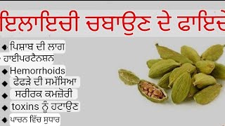 ਛੋਟੀ ਇਲਾਚੀ ਦੇ ਕੁਦਰਤੀ ਗੁਣ ਅਤੇ ਖਾਣ ਦੇ ਫਾਇਦੇ ਅਤੇ ਛੋਟੀ ਇਲਾਇਚੀ ਅਸੀਂ ਕਿੰਨੀ ਖਾ ਸਕਦੇ ਹਾਂ