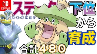 【万能傘光合成型ルンパッパ】ステータス下位から育成カイリキーといっしょ♡６１【ポケモン剣盾】