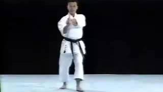 Kosokun Sho Shito Ryu