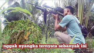 TUPAI DISINI SEMAKIN MENGGILA😱😱!! Seperti diternak puluhan ekor😱 #berburutupai #hunting #berburu