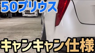 【50プリウス】キャンキャン仕様になりました❗️