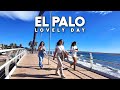 Lovely Day in El Palo Malaga Este Spain Update Costa del Sol | Andalucía [4K]