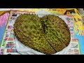 ทุเรียนตลาดไท ล่าสุด ทุเรียนหมอนทอง พาเช็คดูราคาก่อนซื้อราคาส่ง thailand durian market