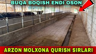 MOLXONA QURISH SIRLAR 99-905-22-00 ARZON BUQALAR SOTILADI