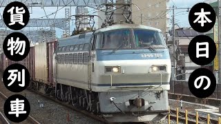 【本日の貨物列車】No.138　2020,11,13　第2077番列車　Today‘s freight train