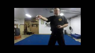 1.3.5 - TOGAKURE RYU TAIJUTSU -UKEMI KATA – HIDEN KATA- Teppan Nage -shuriken by alamo dojo