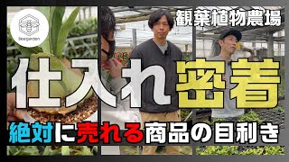 【極秘取材】《遂に〇〇解禁》注目度NO.1の園芸店がこだわる買付テクニック