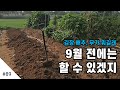 저도 늦었지만 김장 배추 무밭 준비하고 있어요~ 밭 가는 농기계를 가지고 싶은 날들 ㅎ