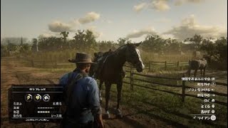 RDR2　サンドニでサラブレッドゲット♪　サンドニアラブ狙いだったけど満足♪