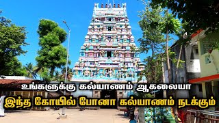 😱திருமண தடை நீக்கும் கோயில்❗️90 நாளில் திருமணம் நடக்கும் அதிசயம் | thirumananjeri temple #shorts