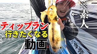 【ティップランエギング】素人釣りガールでも釣れた!!秋イカ釣行記【アオリイカ】【二宮丸】