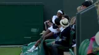Serena Williams falls into crowd at Wimbledon