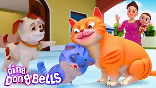 म्याऊं म्याऊं बिल्ली करती  | Meow Meow Billi Karti v2 | Hindi Rhymes for Children | Ding Dong Bells