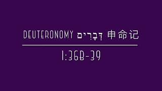 Deuteronomy 申命记 1:36b-39（Series #2 系列）English/Mandarin 英语/中文