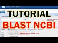 Tutorial Cara Melakukan BLAST NCBI (Basic Local Alignment Search Tool)