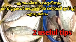 മീനിന്റെ തൊലി 2 മിനിട്ടിൽ ഉരിച്ചെടുക്കാം !! Fish Cleaning Tips#Kitchen Tips in Malayalam@CAKKENCAKES