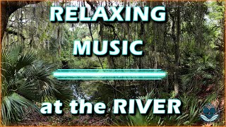 1 Hour of Peaceful River Views | Panoramic Photography of Palatlakaha River, FL | Music Only