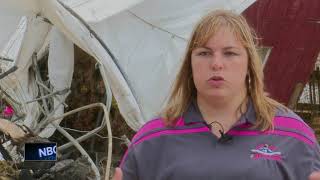 Sheboygan Falls farm cleaning up after plane crash