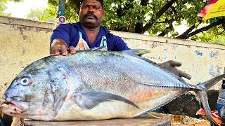 18KG BIG TREVALLY FISH CUTTING VIDEO CUTTING FOCUS KASIMEDU SPEED SELVAM