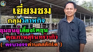 กลุ่มวิสาหกิจชุมชนผู้เลี้ยงโคขุนคุณภาพสุรินทร์วากิวครบวงจรตำบลสลักได