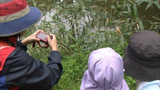 身近な自然に目を向けて…親子で植物や昆虫を観察　香川・坂出市